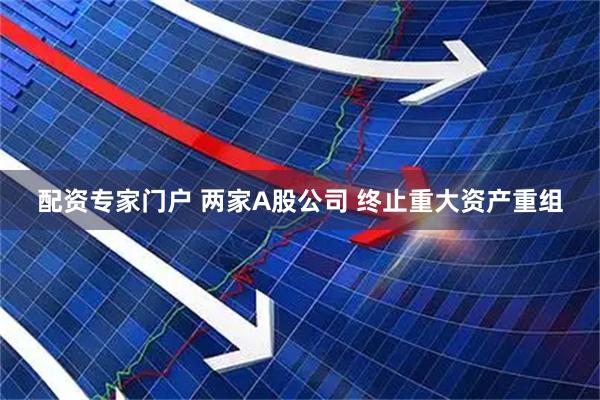 配资专家门户 两家A股公司 终止重大资产重组